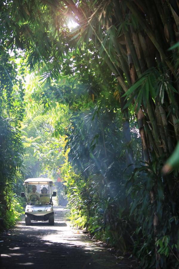 Artist Village By Pramana Watu Kurung Убуд Экстерьер фото